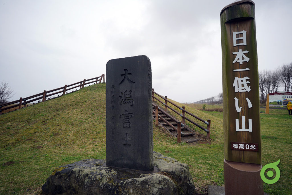 大潟村油菜花之路