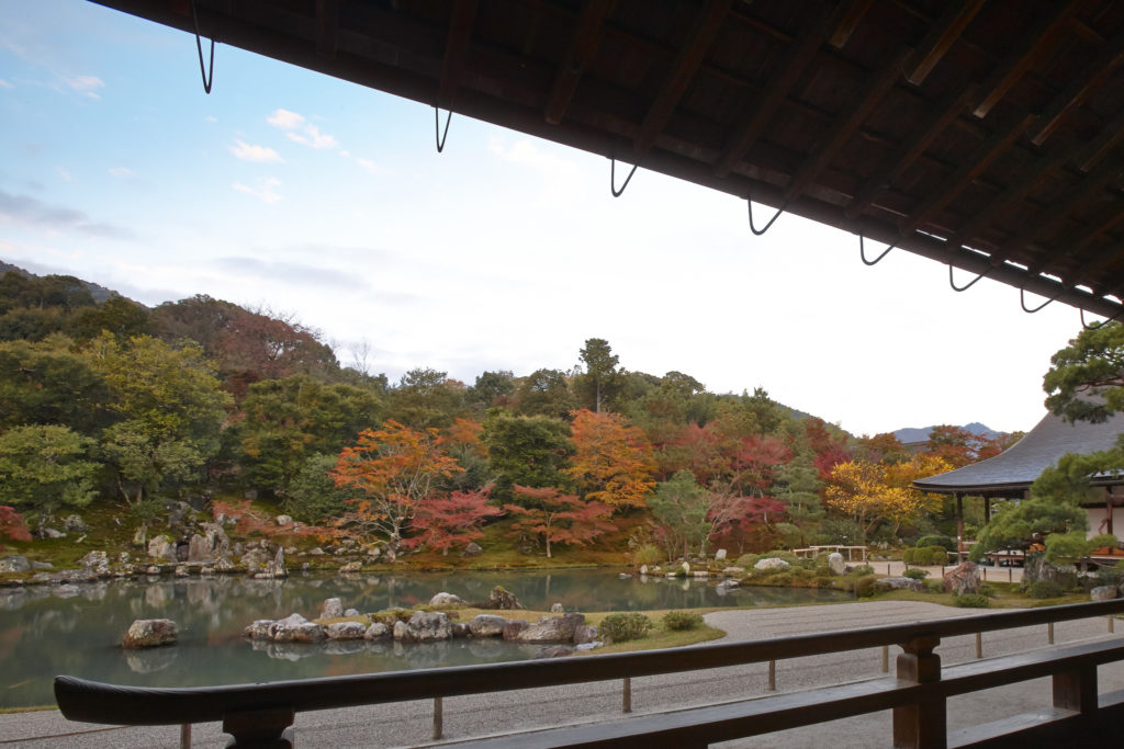 京都紅葉